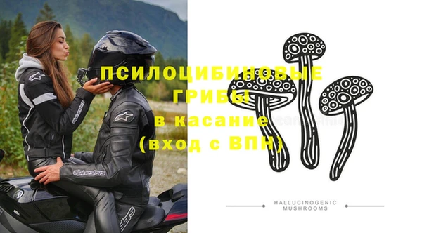СК Осташков